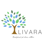 A-Livara Hemtjänst AB A-Livara Hemtjänst AB