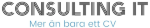 ConsultingIT Stockholm AB